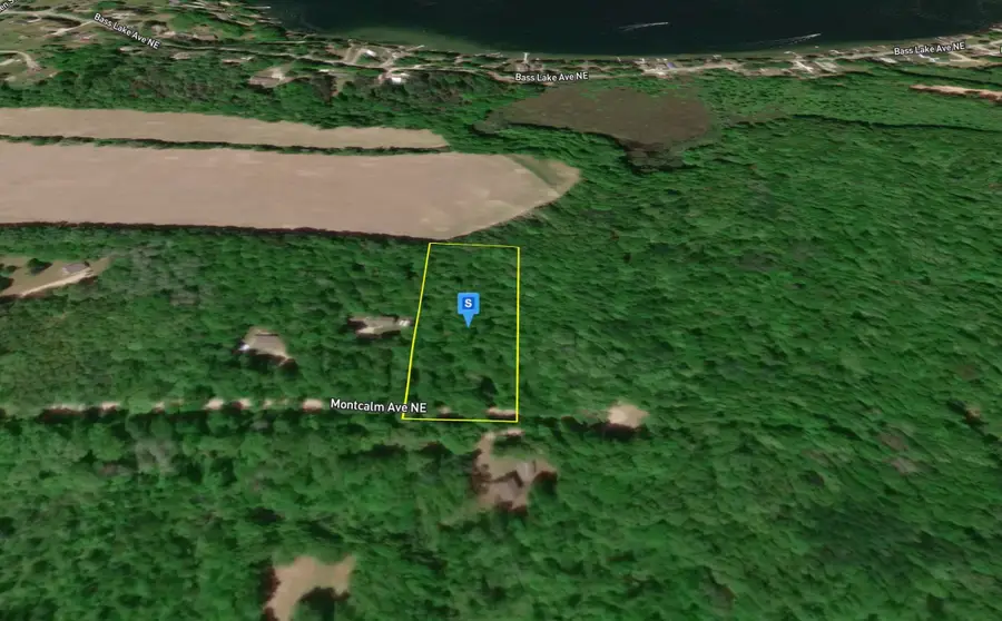 16299 Williams Woods, Gowen, MI 49326 - Image #2