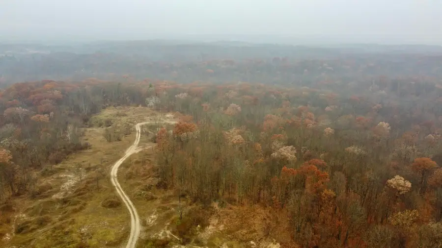 V/l 40 Acres 160th Avenue, Big Rapids, MI 49307 - Image #3