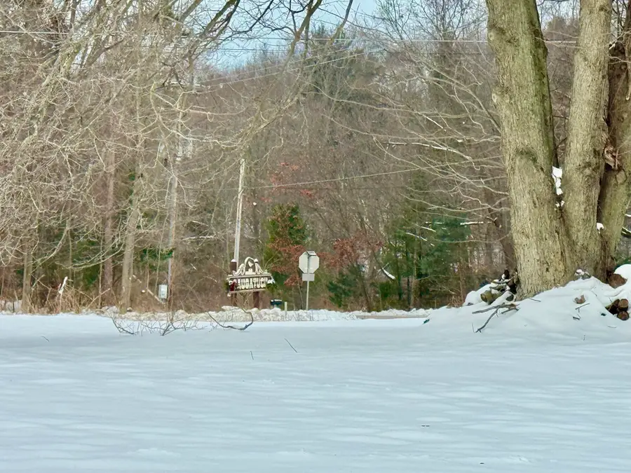 6593 134th Avenue, Saugatuck, MI 49453 - Image #3