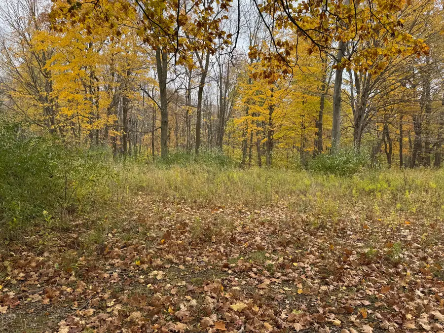 000 W Clear Lake Road, Buchanan, MI 49107 - Image #3