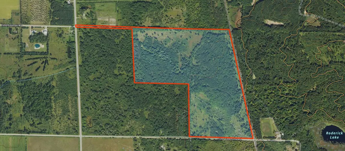 V/L 118A Townline Road, Free Soil, MI 49411 - Image #1