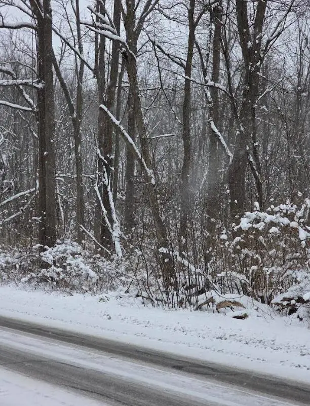 V/L 11th Street, Plainwell, MI 49080 - Image #1