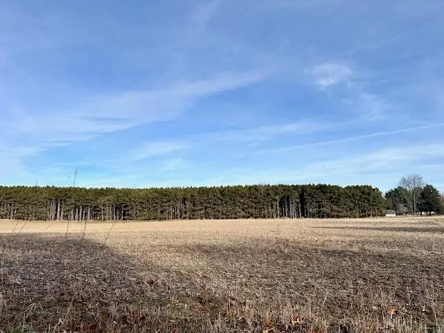 0 Seymour #e Road, Grass Lake, MI 49240 - Image #3