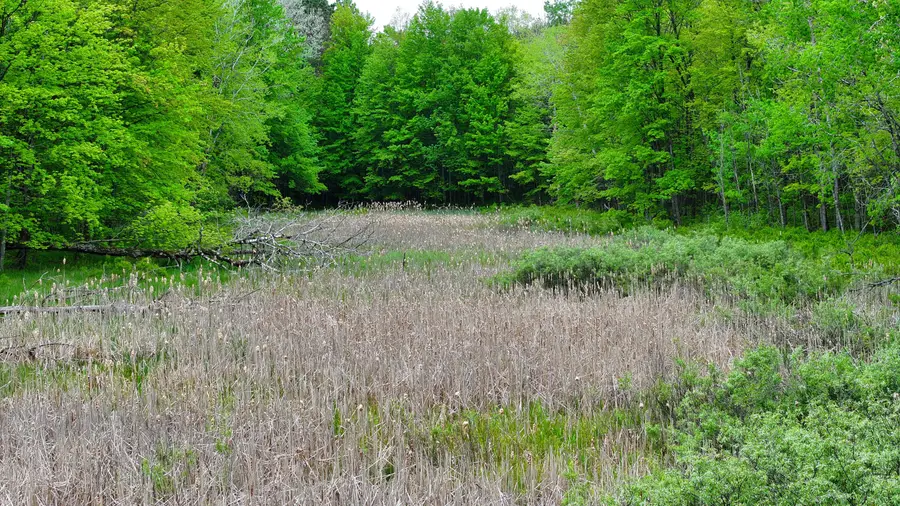 V/L W 1 Mile Road, White Cloud, MI 49349 - Image #3