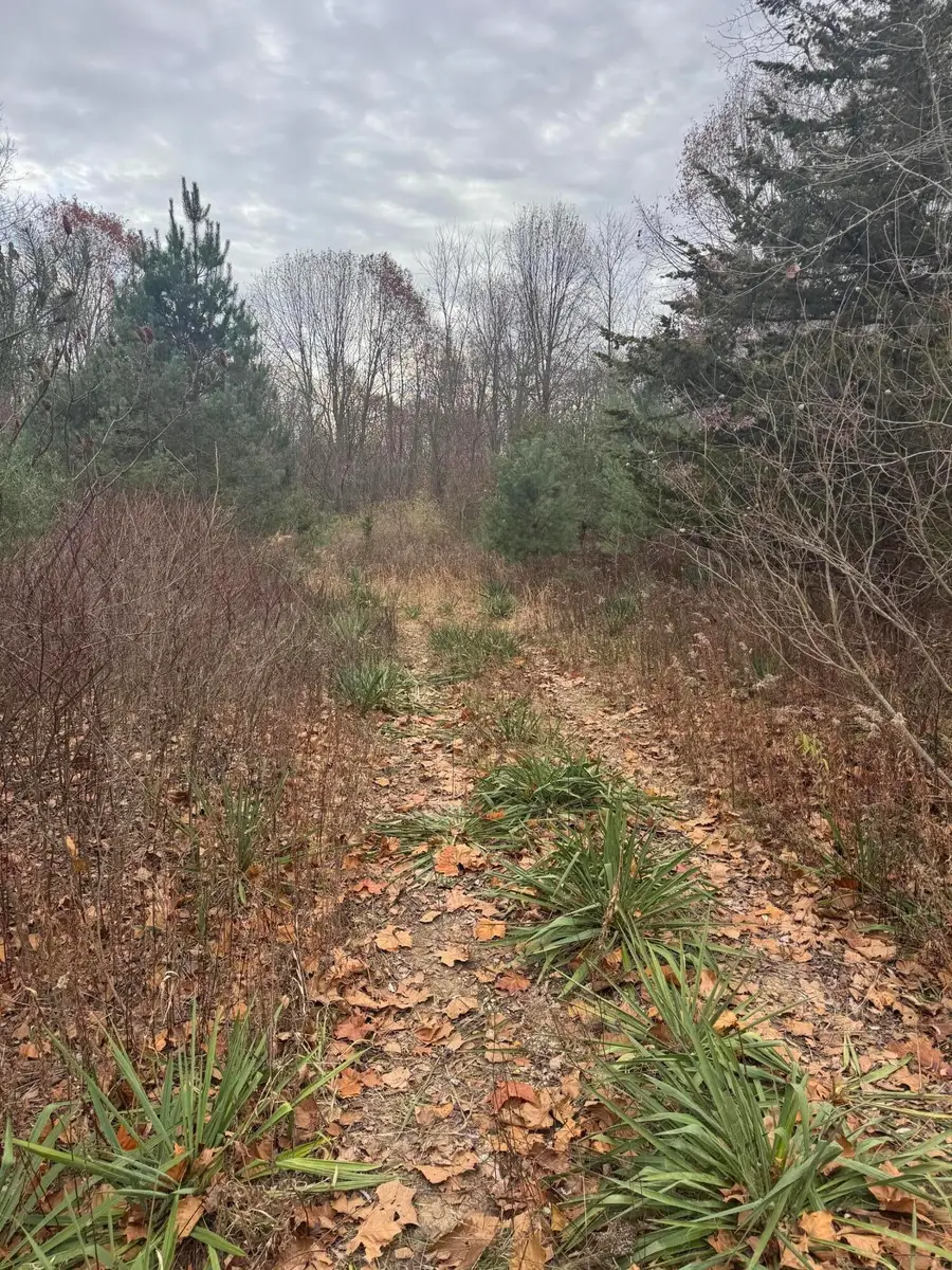 6190 102nd Avenue, South Haven, MI 49090 - Image #3