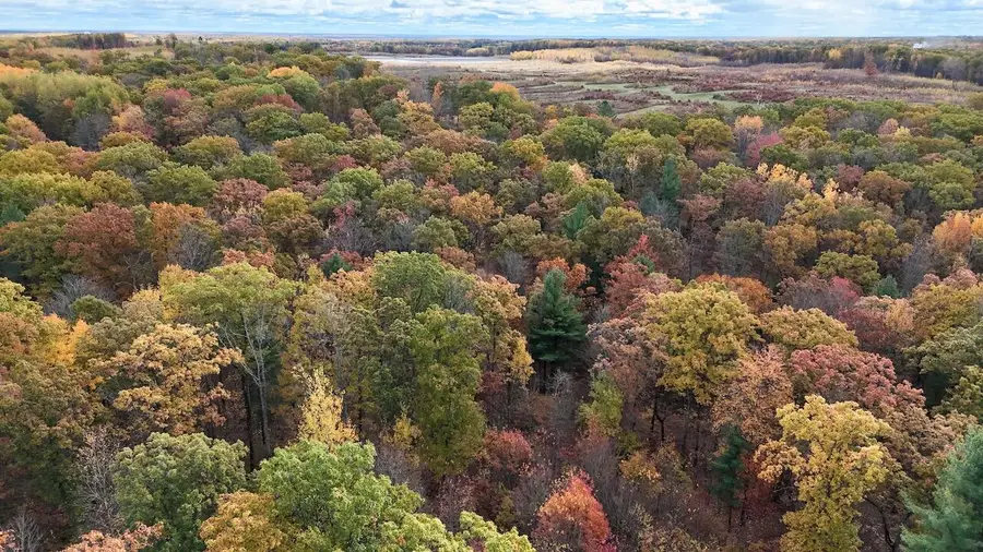 1547 N Harrison Avenue, Harrison, MI 48625 - Image #3