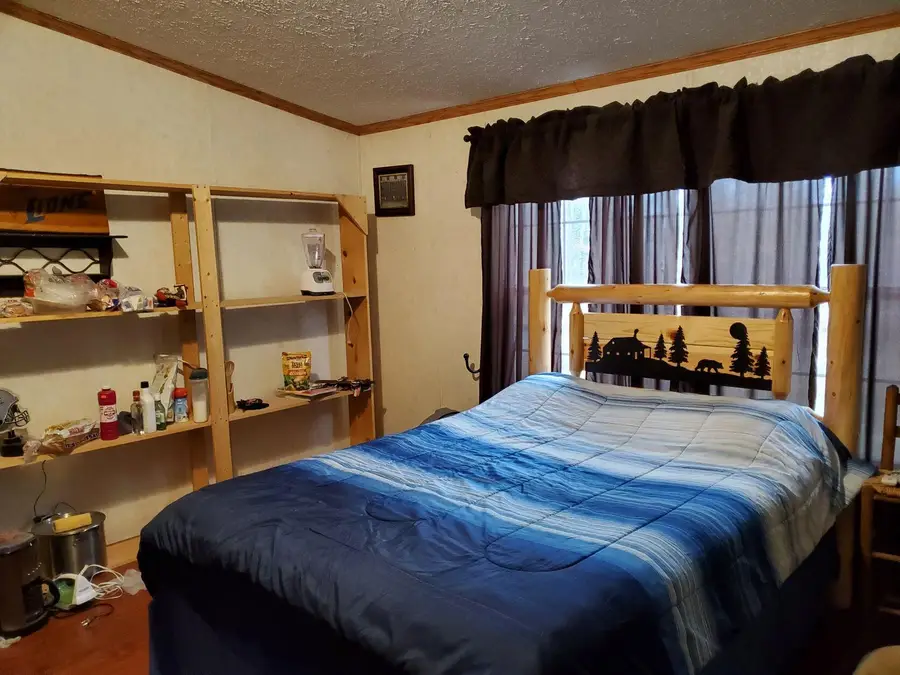 9113 N Kaderabek Trail, Irons, MI 49644 - Image #3