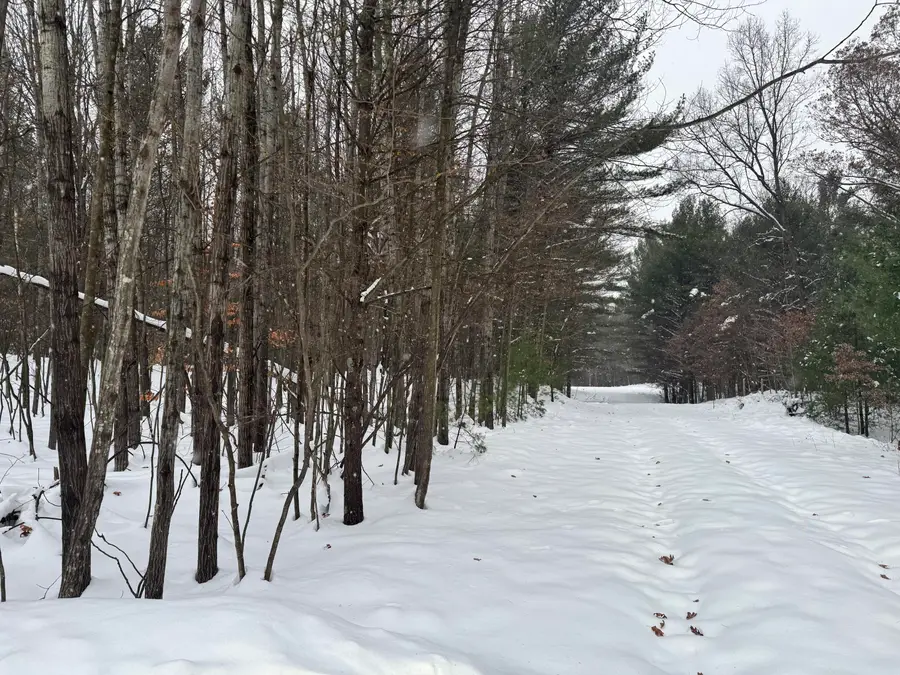 3.75 Acres Wayne Road, Pentwater, MI 49449 - Image #2