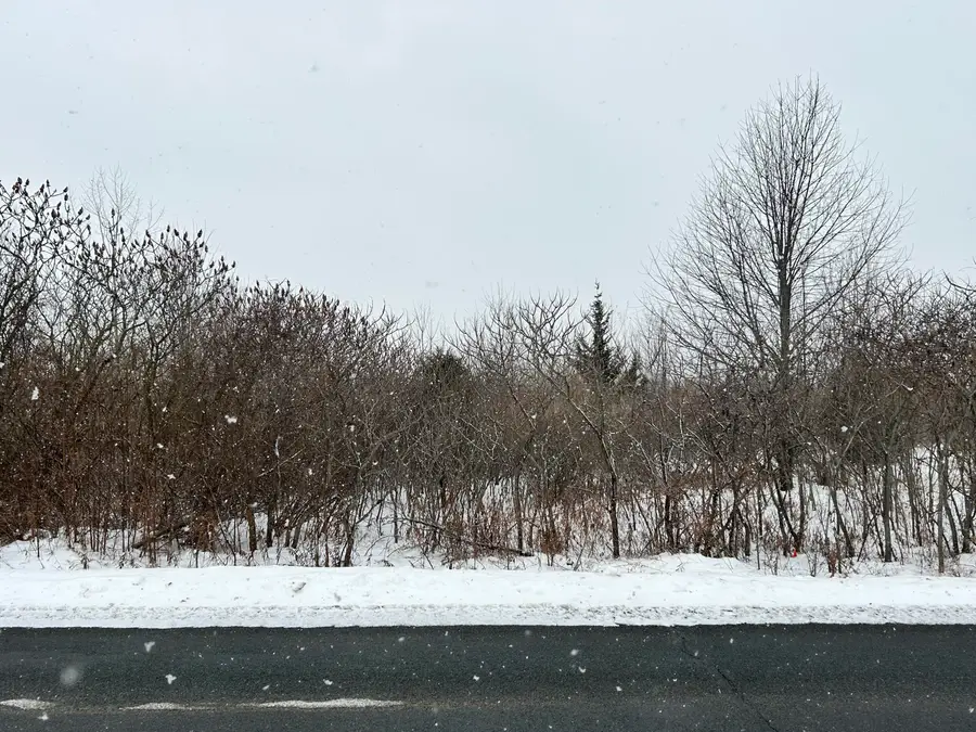 1614 66th Street, Fennville, MI 49408 - Image #2