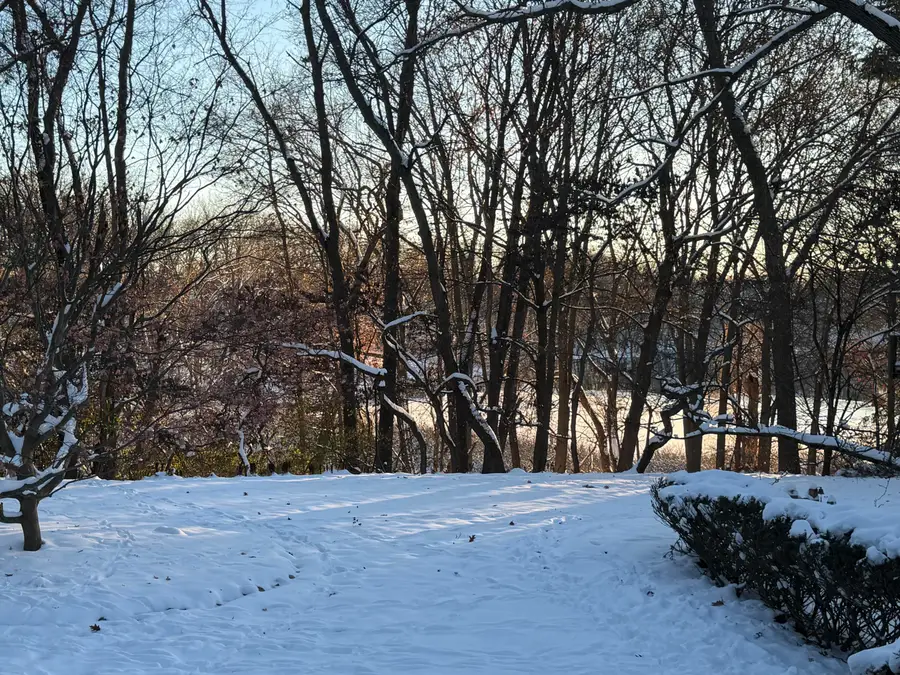 1907 Chevy Chase Boulevard, Kalamazoo, MI 49008 - Image #3