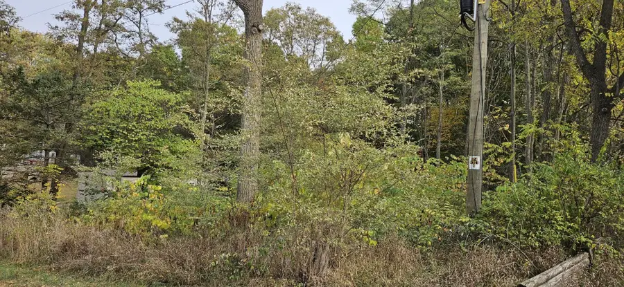 5750 S Oneida Trail, New Era, MI 49446 - #3