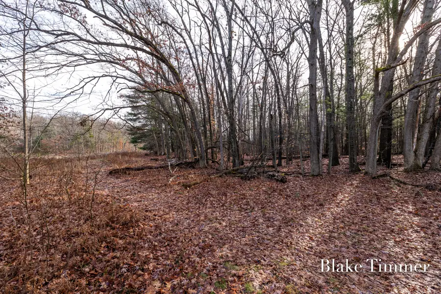 0 E 88th Street, Newaygo, MI 49337 - Image #3