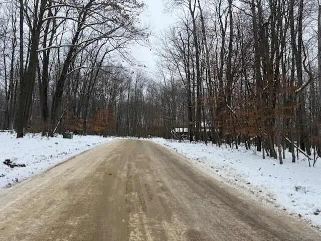 12066 Red Feather Lane, Canadian Lakes, MI 49346 - Image #2