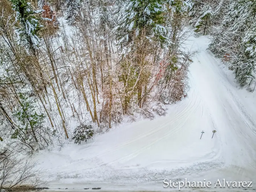 VL Todd Road, Whitehall, MI 49461 - Image #2