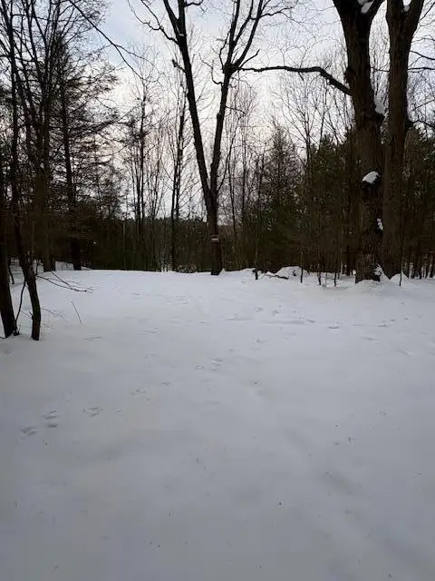 VL Bayou Road, Montague, MI 49437 - Image #1