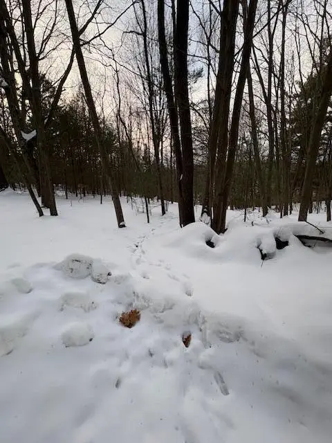 VL Bayou Road, Montague, MI 49437 - Image #3