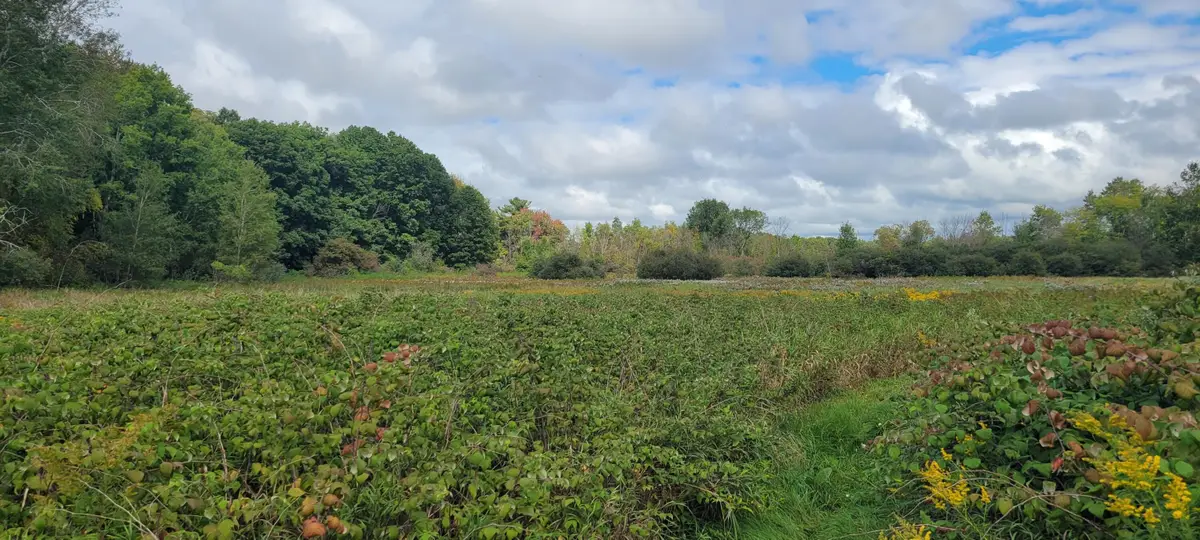 881 S Brye Road, Ludington, MI 49431 - #1