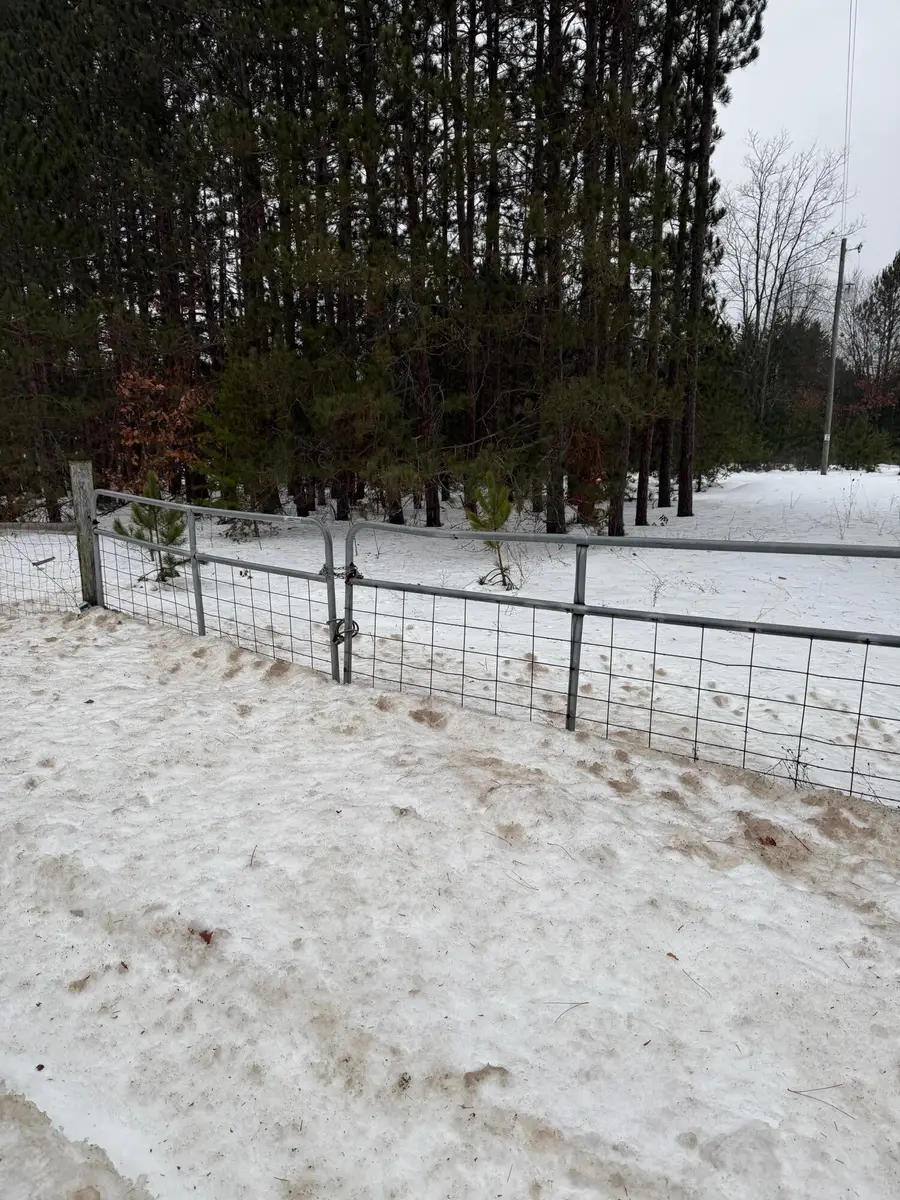 14124 Healy Lake Road, Bear Lake, MI 49614 - Image #3