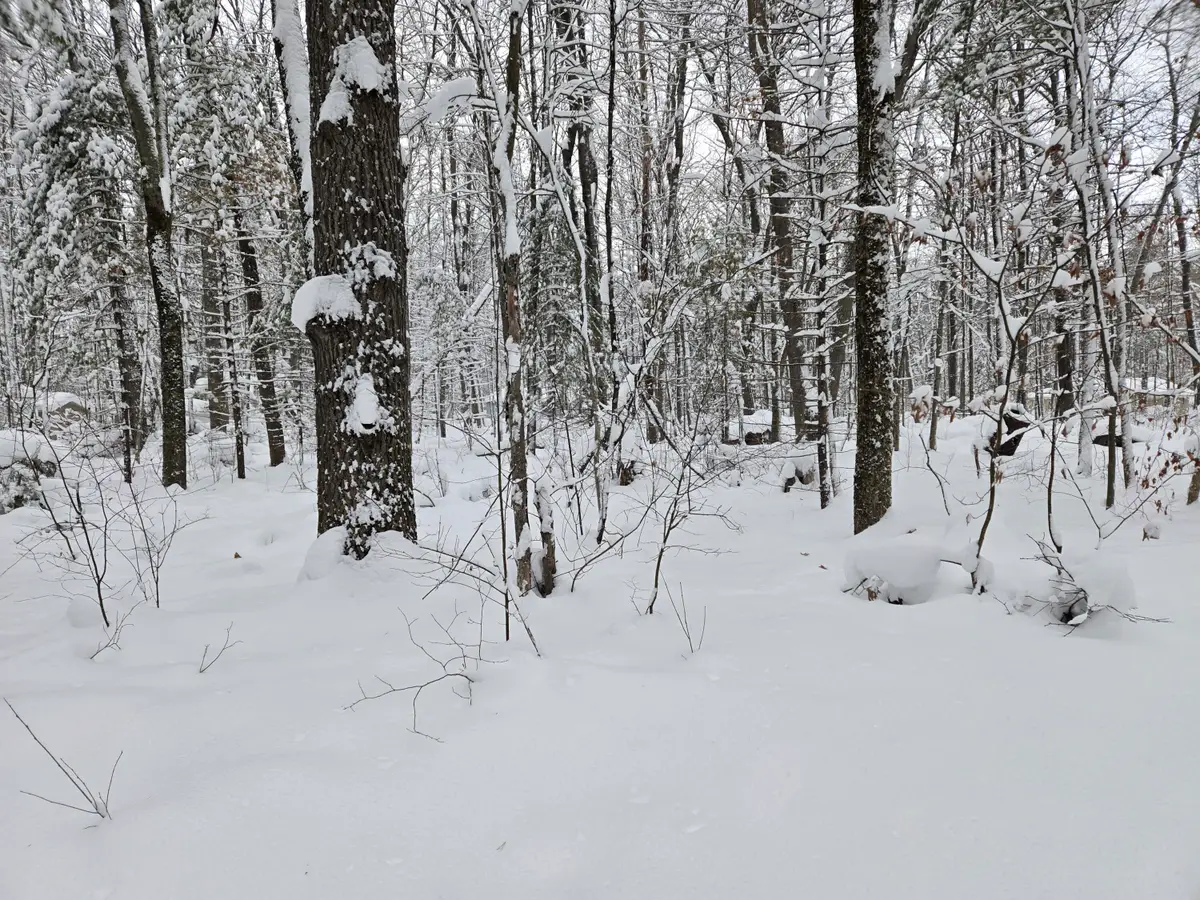 V/L S Whalen Lake Road, Baldwin, MI 49304 - #1