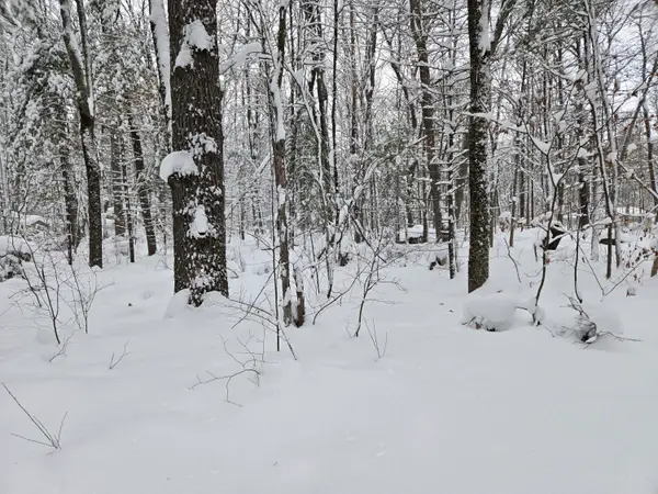 V/L S Whalen Lake Road, Baldwin, MI 49304