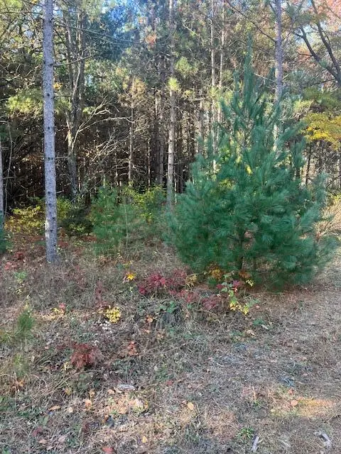 VL C Mckinley Road, Big Rapids, MI 49307 - #1