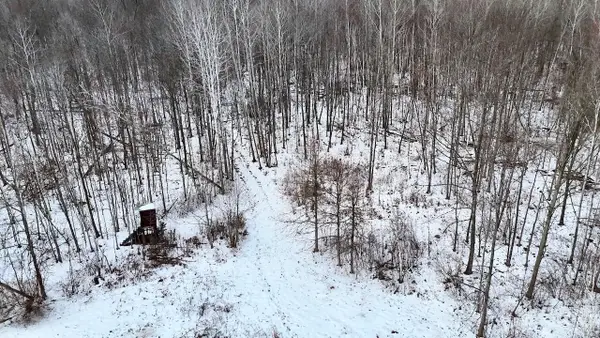 W Dana Rd Road, Coleman, MI 48618