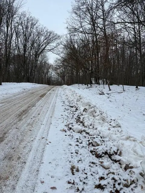 12090 Regina Drive, Canadian Lakes, MI 49346 - Image #2