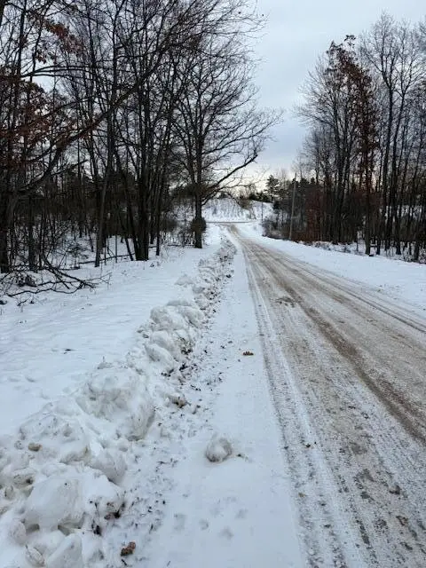 12090 Regina Drive, Canadian Lakes, MI 49346 - Image #3