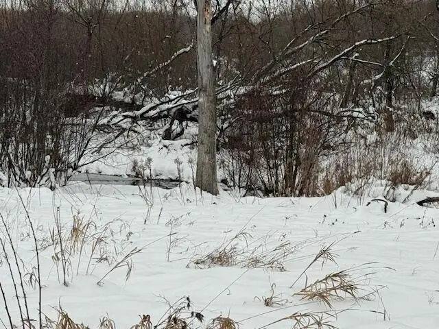 Apache Pass, Reed City, MI 49677 - #1