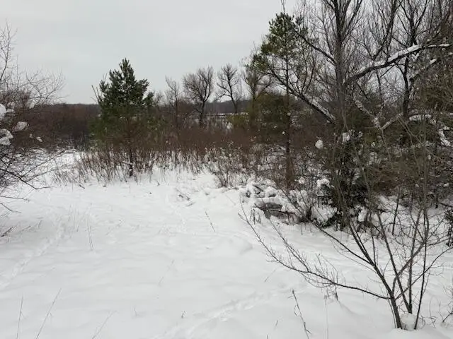 Apache Pass, Reed City, MI 49677 - #2