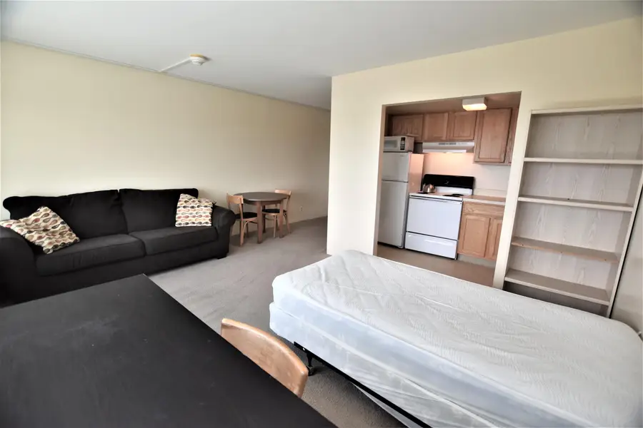 555 E William Street #22L, Ann Arbor, MI 48104 - Image #3