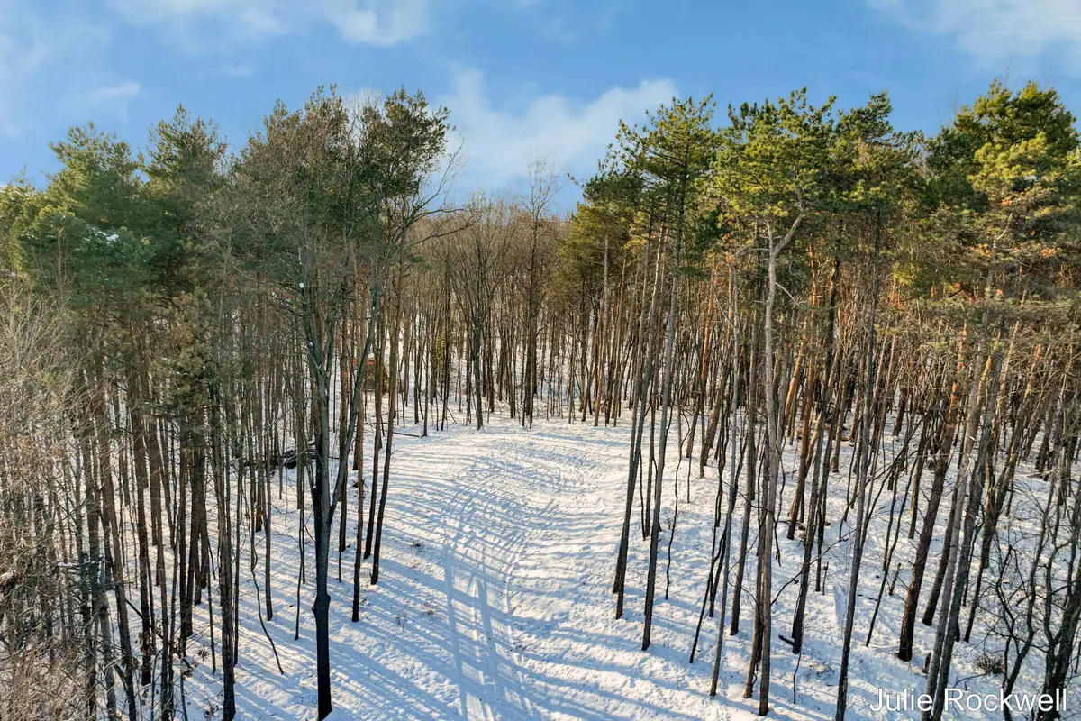 3669 Buttrick Avenue Se, Ada, MI 49301 - Image #1