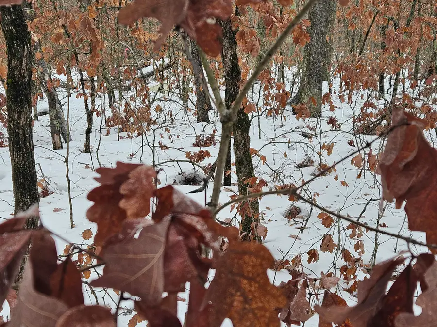 v/l 10-13 W Oliver Road, Baldwin, MI 49304 - Image #3