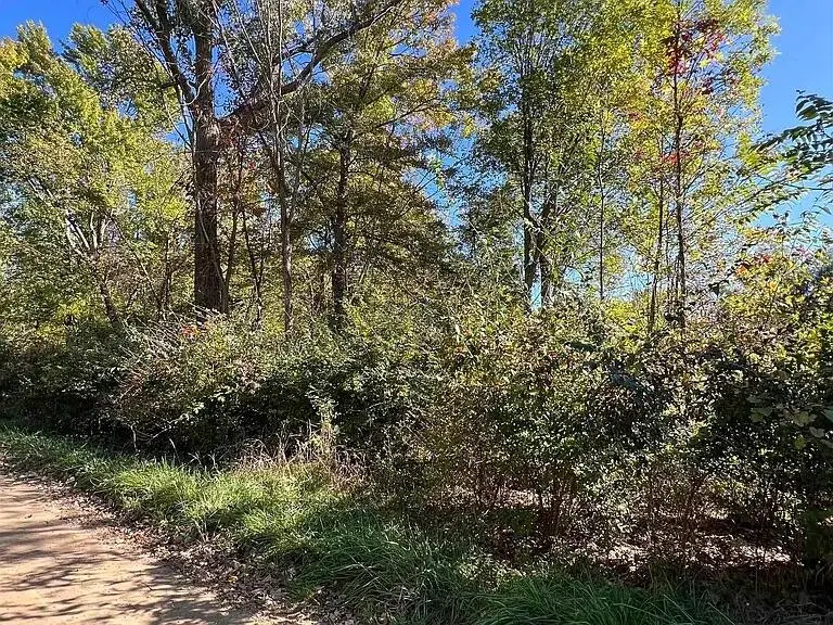 207 Ambler Drive, Brooklyn, MI 49230 - Image #2