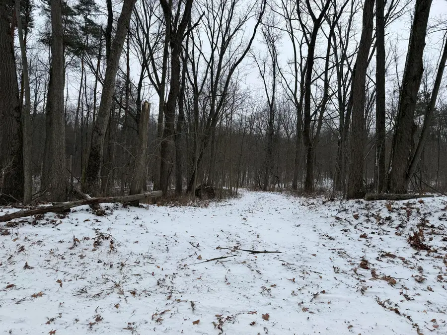 Whipple Road, Bronson, MI 49028 - Image #3