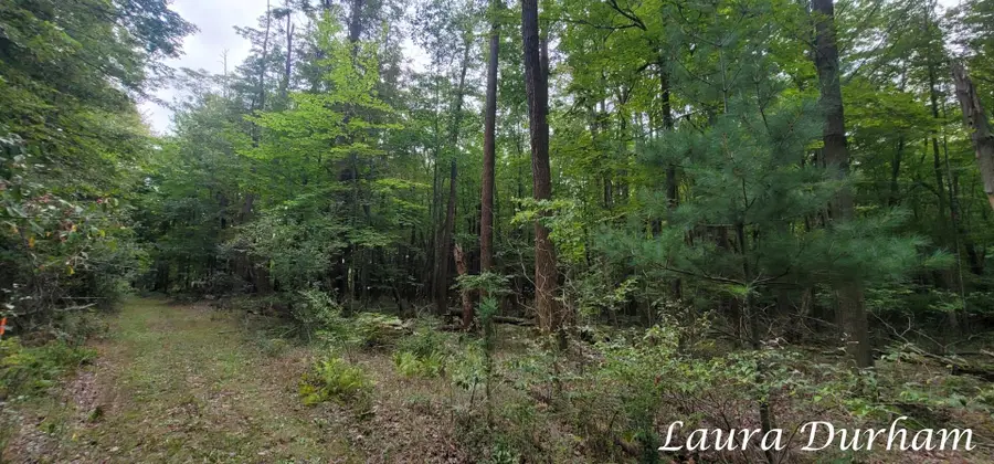 VL Old Owl Drive, Fennville, MI 49408 - #2