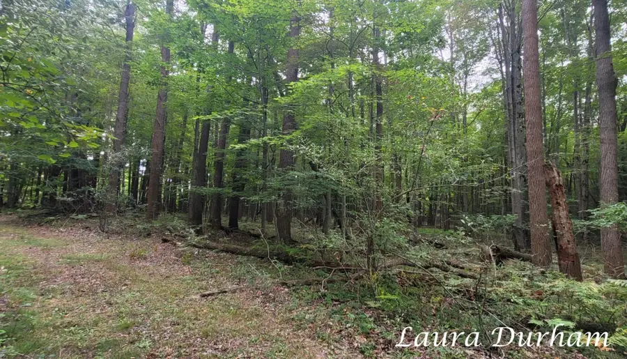 VL Old Owl Drive, Fennville, MI 49408 - #3