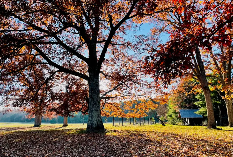 10652 N River Road #A, Irons, MI 49644 - Image #2