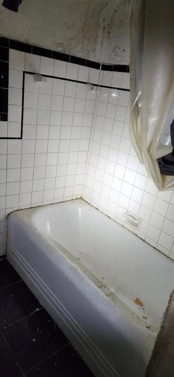 14321 Ardmore Street, Detroit, MI 48227 - Image #3