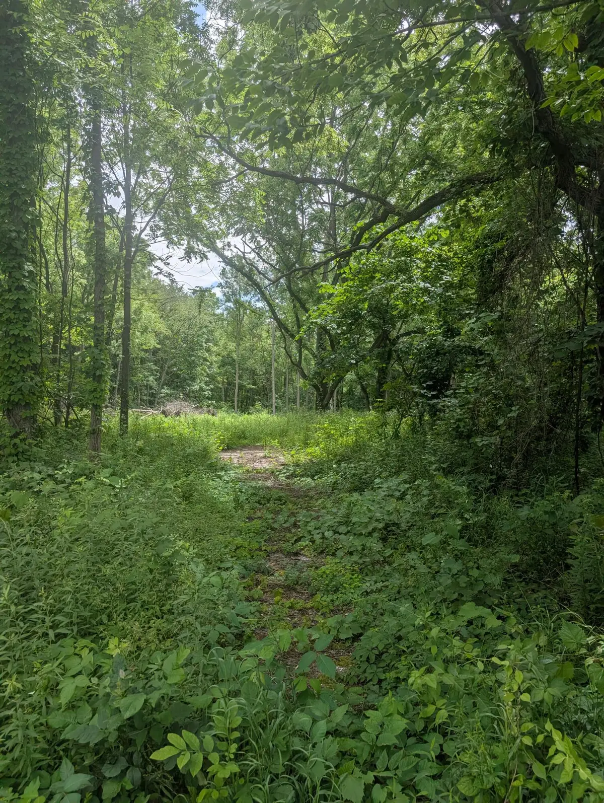 M-43, Bangor, MI 49013 - Image #1