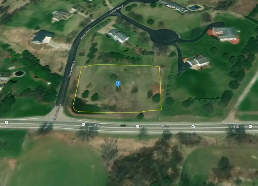 9201 Sharon Hills Court, Manchester, MI 48158 - Image #3