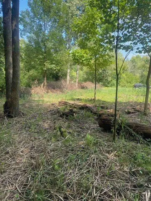 3080 Pershing Drive, Coloma, MI 49038 - Image #3