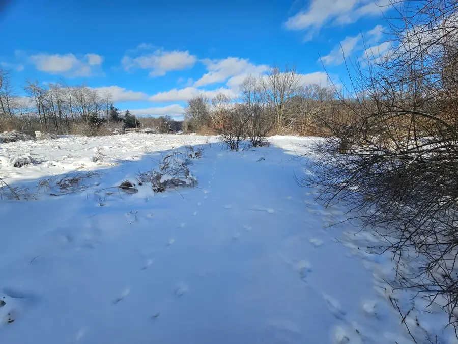 02 120th Ave, Rodney, MI 49342 - Image #3