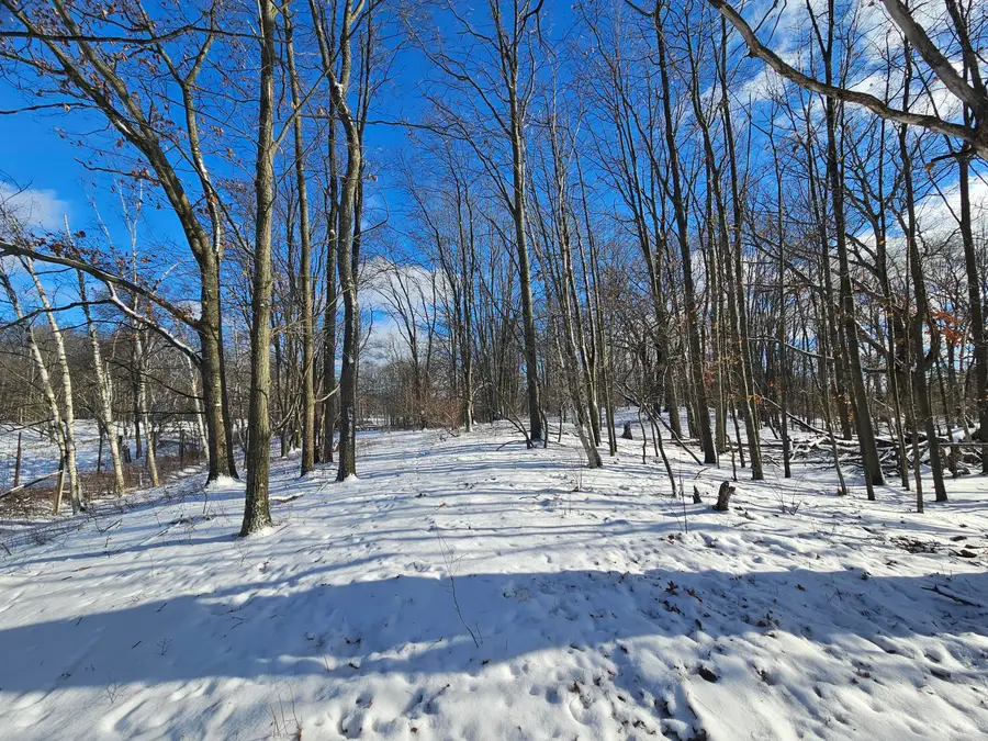 01 120th Ave, Rodney, MI 49342 - Image #2