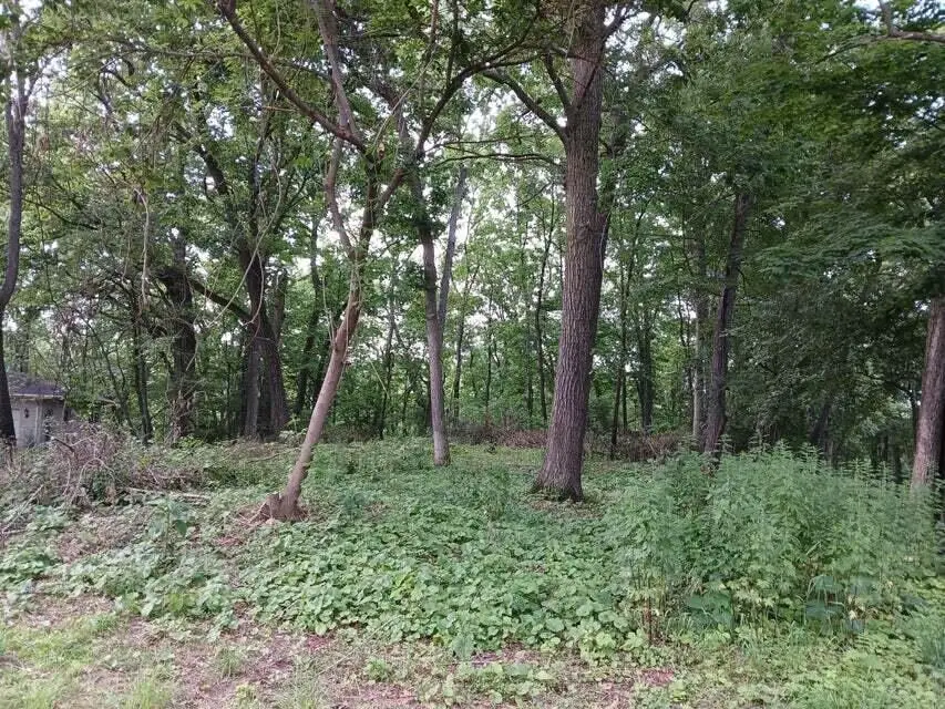 1272 Westlake Woods Drive, Battle Creek, MI 49037 - Image #2