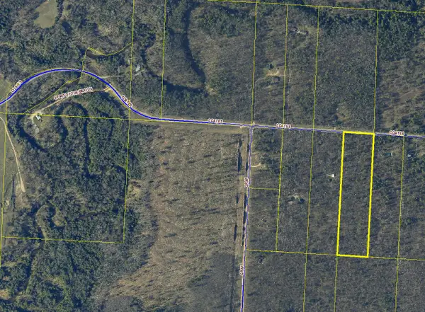 Coates Highway, Brethren, MI 49619