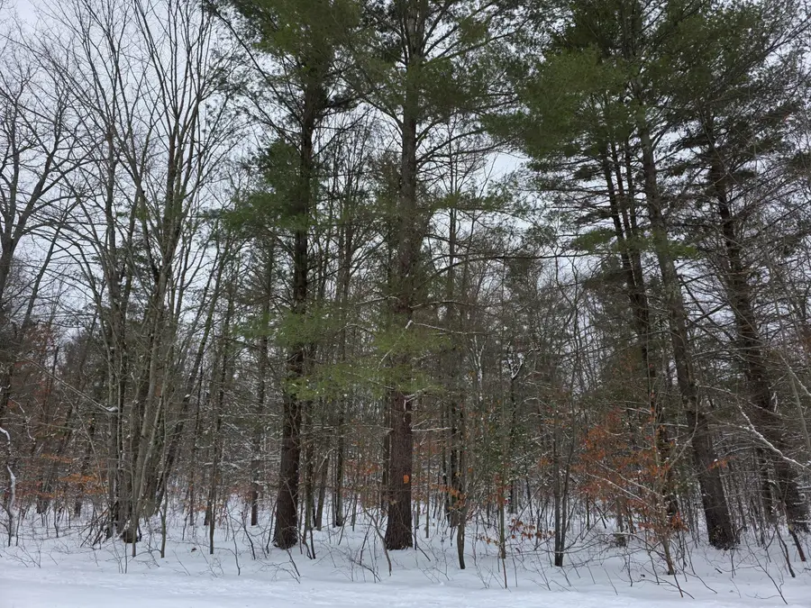 Coates Highway, Brethren, MI 49619 - Image #2