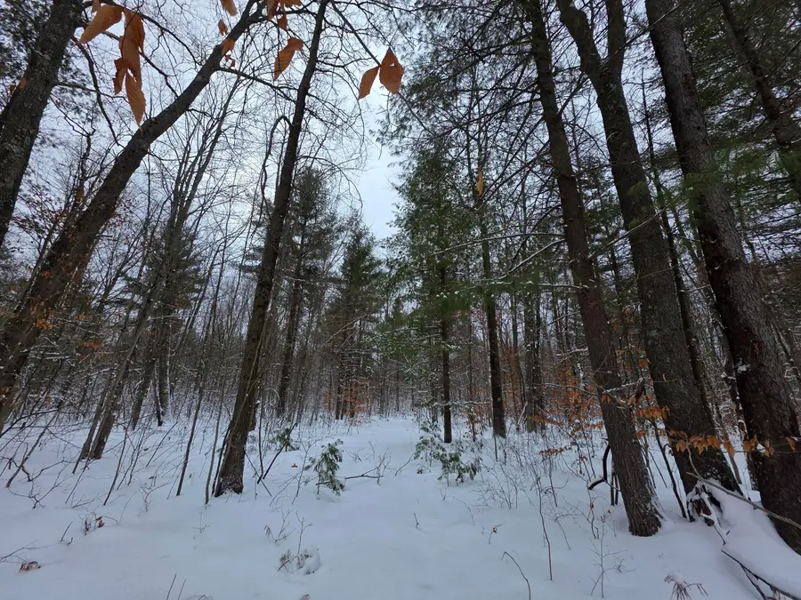 Coates Highway, Brethren, MI 49619 - Image #3