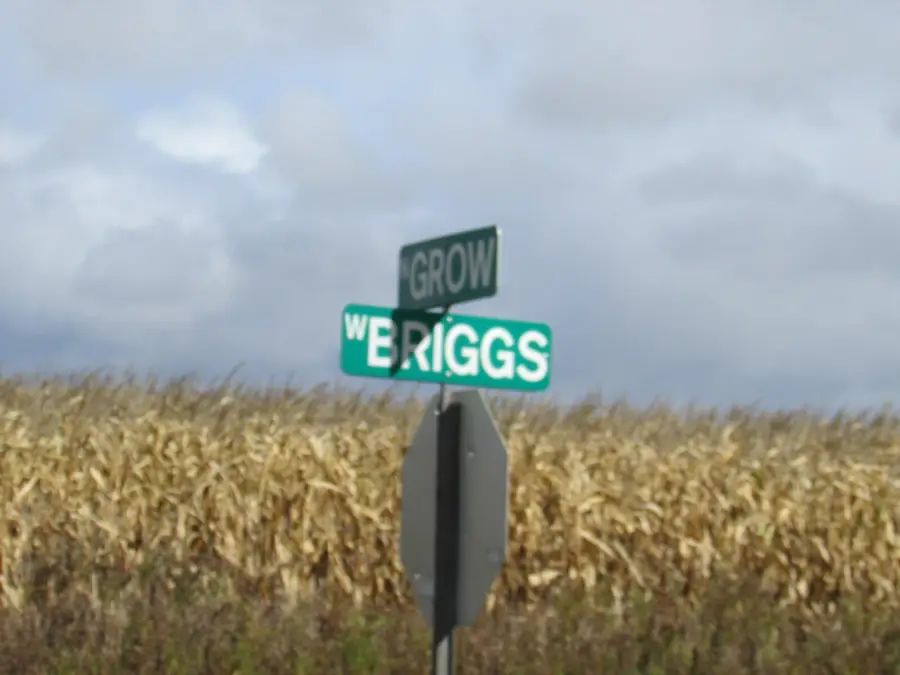 V/L 0000 Briggs Road, Stanton, MI 48888 - Image #2
