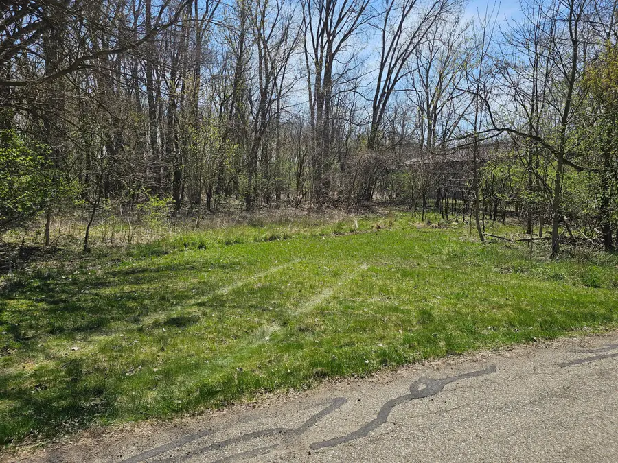 V/L Webber Street, Ionia, MI 48846 - Image #2